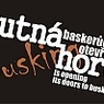 2060_Busking-web-banner-150x99.jpg