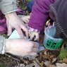 Geocaching (3)