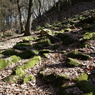 Sion - Chlístovice (2)