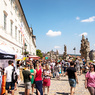 Gastrofestival