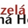 Zmiz_Kutna_Hora_logo.JPG